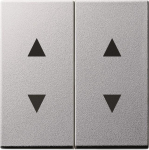 GIRA 115026 Wippe 2fach Pfeile System 55 