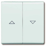 BJ UPWG Allwetter Wippe Jalousie 2126-34 