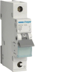 Hager Leitungsschutzschalter      MCS125 