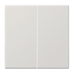 Jung Wippe f.Serientaster        LS102LG 