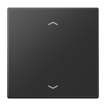 Jung Wippe m.Pfeilsymbolen  LS 101 P SWM 