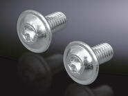 Rittal Torx Schrauben 1=300   SZ 2504500 