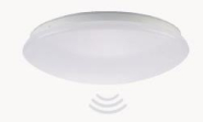 MLIG LED Wand/Deckenleuchte      81-3385 