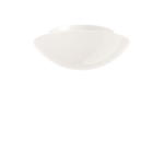 RZB Anbauleuchte              211427.002 