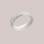 RZB Bajonettring              982419.002 
