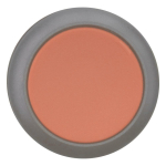 EATON M22S-DR-R Drucktaste flach  216618 