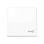 JG Wippe mit Symbol Tür    ABAS 591 T WW 