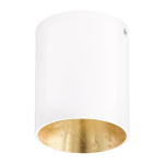 EGLO Polasso Pro Deckenleuchte     62255 