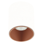 EGLO Polasso Pro Deckenleuchte     62254 