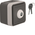 Berker Schlüsselschalter        32713505 