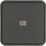 Berker Wippe 1fach f.W.1        30863545 