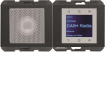 Berker Radio Touch              30807006 