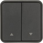 Berker Wippe 2f                 30653565 