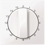 Merten Zentralplatte f.Zeitschal. 567425 