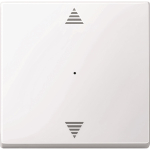 Merten Wippe f.Tastermodul 1fach  619425 