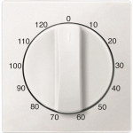 Merten Zentralplatte f.Zeitschal. 539419 