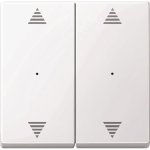 Merten Wippe f.Tastermodul 2fach  619725 