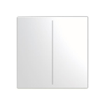 BJ Abdeckung 2-fach f. LFW/A.2.63.11-866 