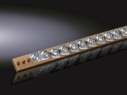 Rittal Schutzleiter           SZ 2364000 