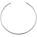 EVN Ersatz-Sprengring               .088 