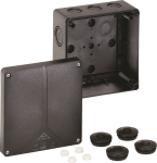 SPELS Abzw-Kasten             ABOX-I 100 