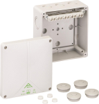 SPELS Abzw-Kasten 10qmm       ABOX-I 100 