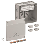 Spelsberg Abzweigkasten  Abox Pro SLK-6² 