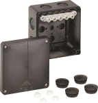 SPELS Abzw-Kasten             ABIX-I 060 