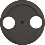 Berker Zentralstück           MAN0102117 