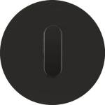 Berker Abdeckplatte m.Kneb.R. 1001205500 