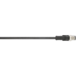 LAPP AB-C5-M12MS-10,0 PUR       22260414 