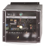 JUPU BasicLogo AD 25             JP00310 