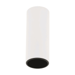 EGLO Tortoreto Ø60 Zylinder-       62516 