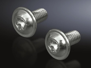 Rittal Torx Schrauben 1=300   SZ 2504500 