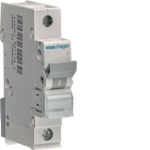 Hager Leitungsschutzschalter      MCN120 