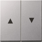 GIRA 029426 Wippe 2fach Pfeil System 55 