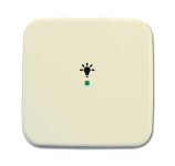 BJ Wippe 1-fach,Symbol Licht 6231-10-212 