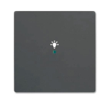 BJ Wippe 1f Licht schwarz    6231-10-885 