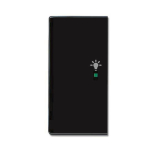 BJ Wippe links 2-fach,Symbol  6231-21-81 