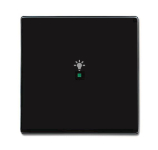 BJ Wippe 1-fach,Symbol Licht  6231-10-81 