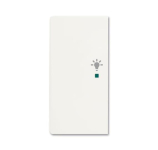 BJ Wippe/L 2f Licht          6231-21-884 