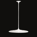 PII LIQUID PL 55W 3000K    8712211556301 