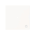 BJ Wippe 1-fach m.Symbol     6233-10-44M 