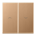 Jung Wippe 2f m.Pfeilsymbolen BRG 2995 P 