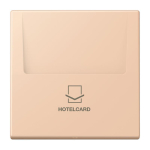 Jung Hotelcard-Schalter  LC 590 CARD 234 