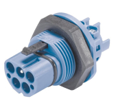 Wieland            RST20I5S S1 M01V BL07 