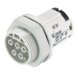 Wieland Buchsenteil   RST20I5C B1 M01 GL 