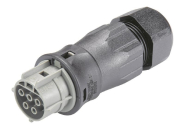 Wieland            RST25I5S B1 ZR3S BG03 