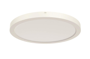 RIDI Sanierungsdownlight SARA220 0322095 
