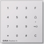 GIRA 260566 Keyless In Codetastatur 